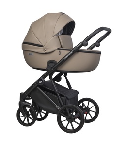 Коляска Riko Basic Montana Ecco 2 в 1