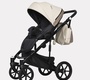 Коляска Riko Basic Ozon Ecco 2 в 1