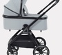 Детская коляска Rant Basic Terra 2в1 
