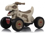 Детский электроквадроцикл Rivertoys K707PX