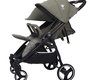 Прогулочная коляска для двойни Rant Biplane Trends