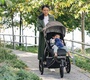 Прогулочная коляска UPPAbaby RIDGE