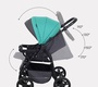 Коляска трансформер RANT basic RIVA
