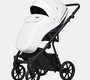Детская коляска Riko Basic Montana X Ecco 2в1