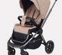 Коляска прогулочная RANT FLEX PRO RA099