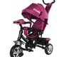 Велосипед трехколесный Baby Tilly Storm T-349/2