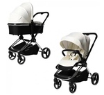 Коляска Labala Raiz 2 в 1