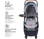 Коляска Tomix AURA 2 в 1