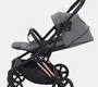 Прогулочная коляска RANT ACE (поворотный блок)