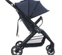 Прогулочная коляска PITUSO LIZARD