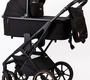 Детская коляска Peppy Tecla 2 в 1