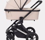 Коляска Rant AXIOM 2 в 1
