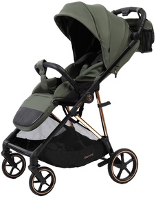 Прогулочная коляска Peppy Amici (реверсивное сидение)