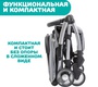 Прогулочная коляска Chicco Goody Plus