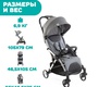 Прогулочная коляска Chicco Goody Plus