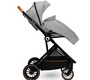 Коляска Lionelo LO-RIYA 2 в 1