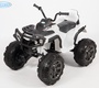 Электроквадроцикл BARTY Grizzly Т001МР
