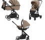 Коляска CARRELLO Alfa CRL-6508 3 в 1