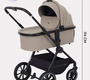 Коляска детская RANT MOSS 2025 (2в1) RA321