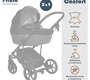 Коляска PITUSO CONFORT PLUS 2 в 1