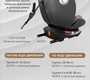 Поворотное автокресло PITUSO Roys Plus