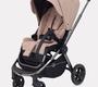 Коляска прогулочная RANT FLEX PRO RA099