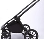 Детская коляска Peppy Monaco 2 в 1