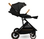 Коляска Lionelo LO-RIYA 2 в 1