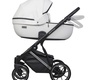 Детская коляска Riko Basic Montana Premium Silver 2 в 1