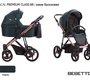 Коляска Bebetto Pascal Premium Class 2 в 1
