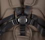 Коляска RANT ФАЛЬКОН X (FALCON X) 2в1 RA126