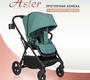 Прогулочная коляска Aimile Aster (реверсивное сидение) 