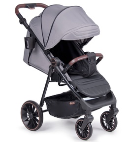 Прогулочная коляска Coletto Dizzi