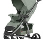 Прогулочная коляска CARRELLO Vista CRL-8505 